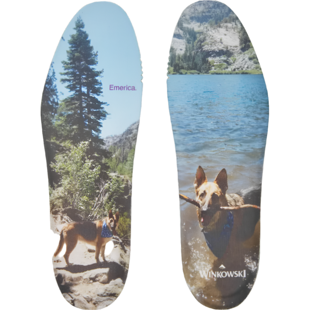 Emerica Winkowski White