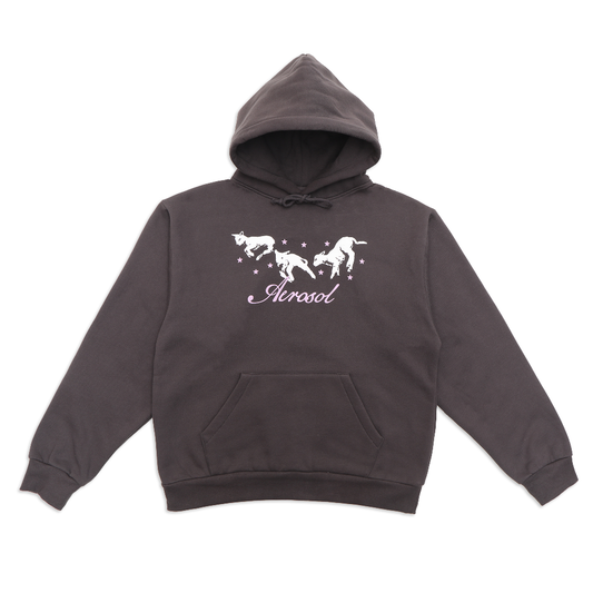 Aerosol Frolic Grey Hoodie